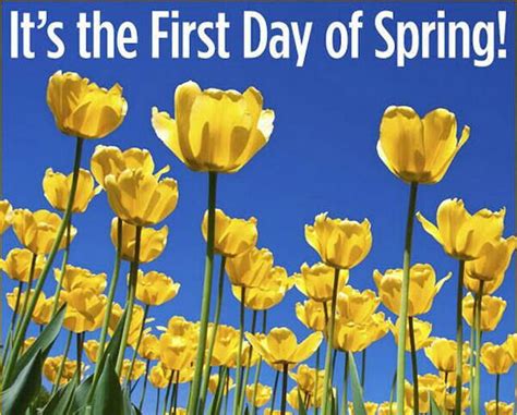 Flowers start to bloom when spring arrives (image. It's The First Day Of Spring Pictures, Photos, and Images ...