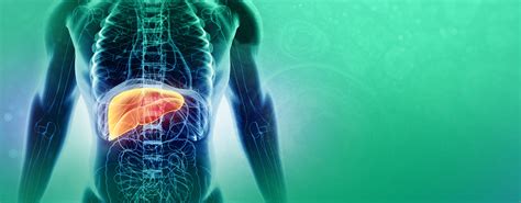 This gastroenterological disease (digestive system disease) may arise from a wide variety of causes, including viral infection, drugs, metabolic disorders, toxins, alcohol consumption, bacteria, parasites. Roche - Fighting viral hepatitis