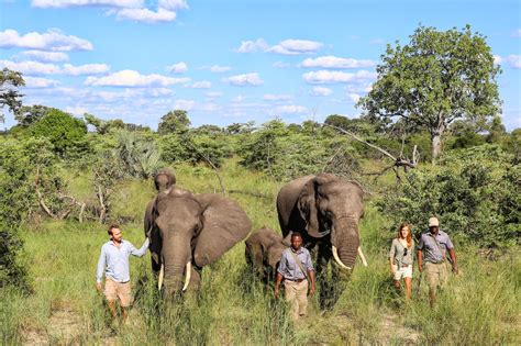 Botswana Safari Holidays in 10 Photos - Aardvark Safaris