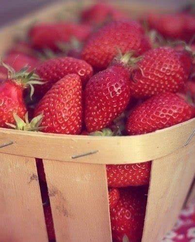 Сайты с диетами отзывы