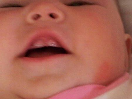 Einem neugeborenen muss man natürlich nicht die (noch nicht vorhandenen) zähne putzen. 28 Best Pictures Baby Ab Wann Zähne - Die Reihenfolge ...