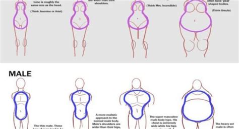 Here presented 60+ female body shape drawing images for free to download, print or share. HOW TO DRAW BODY SHAPES: 30 Tutorials For Beginners ...