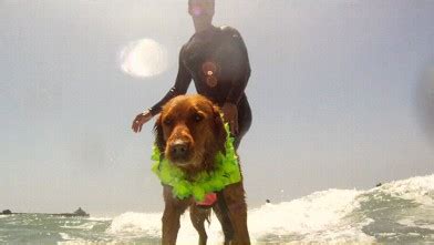 Camming connection our virtual home for virtual strippers! Getting Ready For Work Doggy-Style Video - ABC News