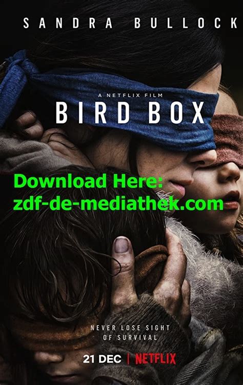 Download english subtitles of movies and new tv shows. Movie Bird Box DVD9 english subtitle 720px no sign up