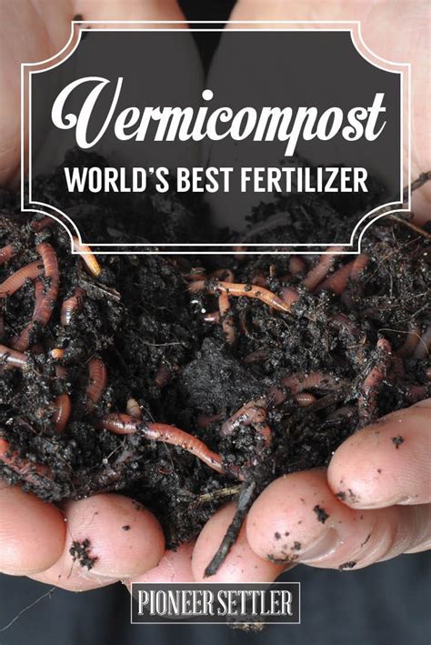 Now you just want to know how to harvest the worm castings, so you can put them to good use. Vermicomposting | How To Fertilize with Worm Castings ...
