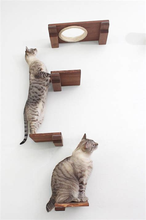 Collection by maryanne /h • last updated 2 weeks ago. Step | Pets, Cat climbing shelves, Step shelves