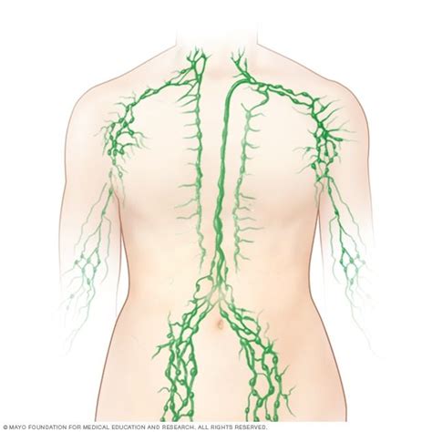 The most common cause of groin pain is a muscle, tendon or ligament strain, particularly in athletes who play sports such as hockey, soccer and football. Swollen lymph nodes - Symptoms and causes - Mayo Clinic in ...