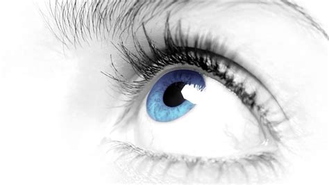 Lab: Sight for sore eyes | Metro Newspaper UK