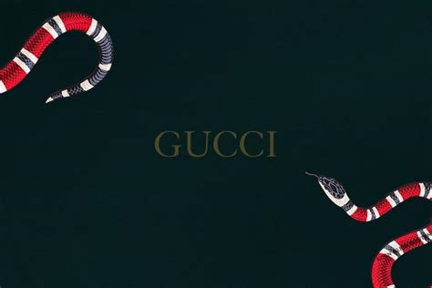 Find the best free stock images about gucci. Gucci Snake Gucci Wallpaper 4K : Gucci Snake wallpaper by ZaknafeinSamekh - 7b - Free on ZEDGE ...