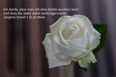 Sophie scholl in einem brief an fritz hartnagel, 9. Weiße Rose | Birger