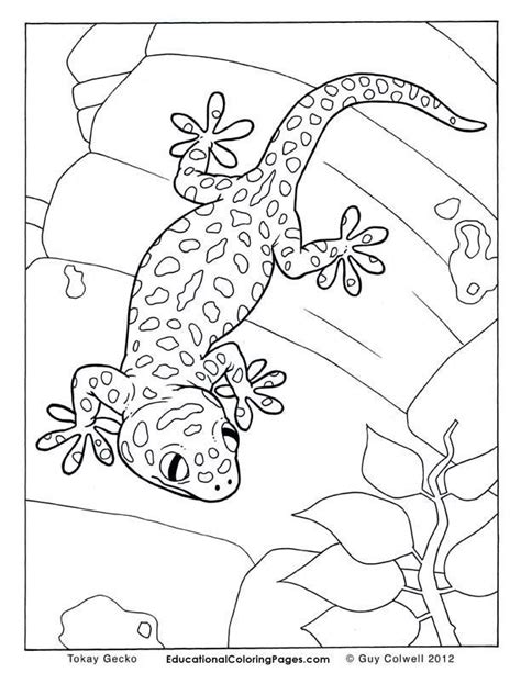With every page filled with coloring, drawing, matching and mazes, this halloween coloring book will make any halloween party a howling good time! Cute coloring pages, Animal coloring pages, Frog coloring ...