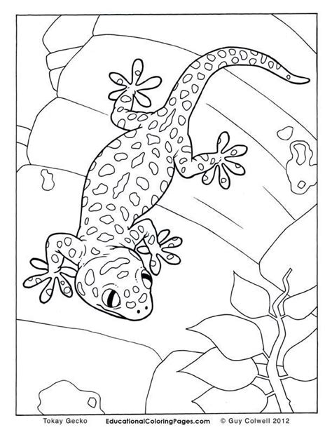 Early jurassic aquatic reptile found in europe and asia, a genus of ichthyosaur, ichthyosaurus ocean life late triassic dinosaur coloring pages for kids. Cute coloring pages, Animal coloring pages, Frog coloring ...