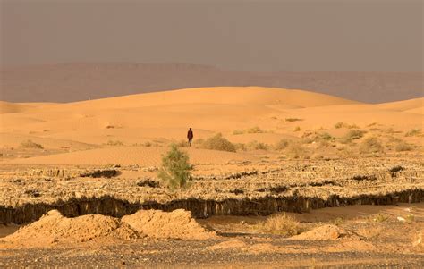 Sahara Desert: 6000 years ago lush Saharan vegetation was killed off by desertification