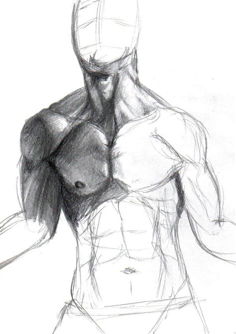 See more ideas about anatomy, anatomy drawing, man anatomy. Male anatomy study WIP by DemonShuriken87 on DeviantArt