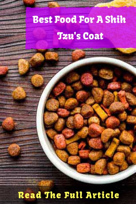 Some of the best fats to use on your dog food recipes are omega 3 and omega 6 fatty acids derived from fish oil. Low Fat Dog Food Recipes Healthy - Pin on WFPB SOS Recipes - tkmcfall-wall