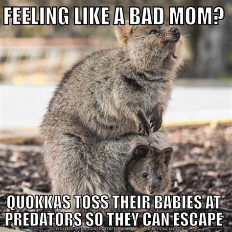 Bad mom image by Jennifer Knapp on mom stuff | Parenting ...