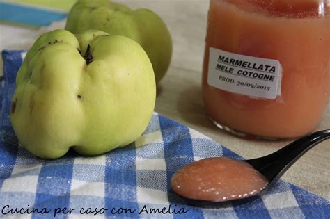 Check spelling or type a new query. Marmellata di mele cotogne bimby - Cucina per caso con Amelia
