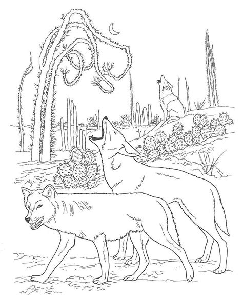 Graphic on a cocktail napkin from a packet purchased at a gift store in borrego springs, ca back in the early 1990s. Coyote coloring pages show this interesting animal in all ...