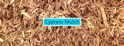 When growing fruit trees or a vegetable garden, it important to pick the best mulch for the job. Types of Mulch | What is Mulch? | Mulching Guide ...