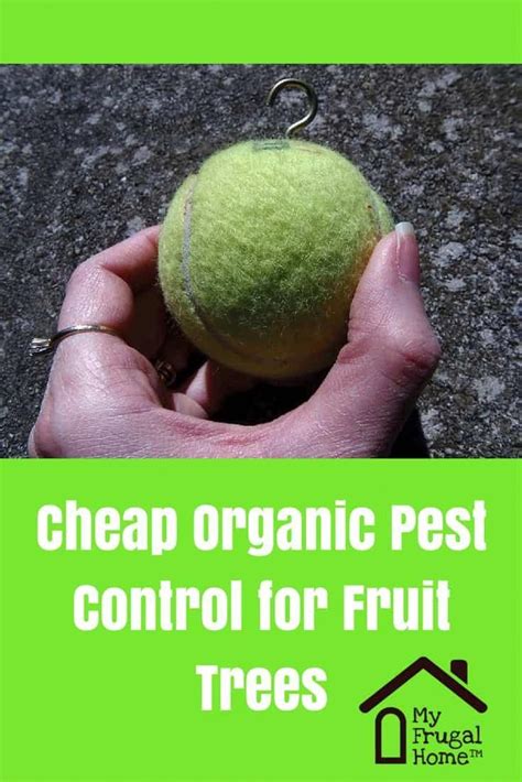 Printed voucher must be presented. Cheap Organic Pest Control for Fruit Trees - this simple ...