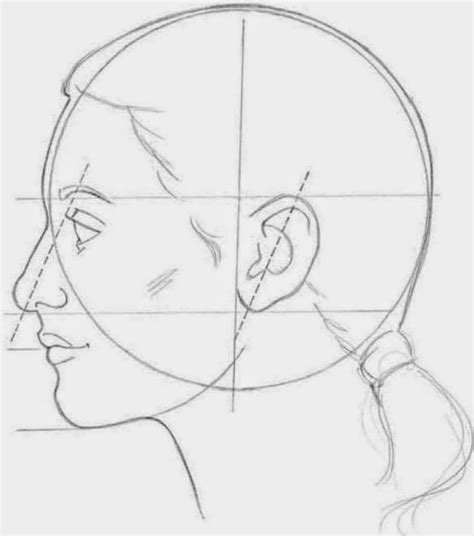 Learn the rules of drawing the face and then break them! CAPTURING A LIKENESS | Drawing techniques, Art drawings ...