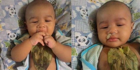 Cara hilangkan batuk dan kahak baby | cara buat minyak bawang putih. Petua Guna Daun Sireh Untuk Hilangkan Batuk Dan Kahak Bayi ...