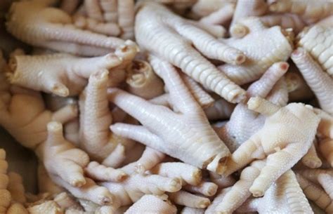 Angsio ceker ayam ini sangat lezat sekali dan pasti. Resep Sop Ceker Ayam dan Sayuran Enak Segar | Resep Masakan