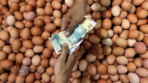 We did not find results for: Harga Telur Ayam Tembus Rp30.000 per Kilogram - Bagian 2