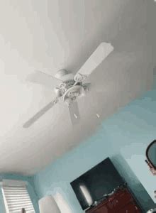 Gif bin is your daily source for funny gifs and funny animated pictures! Ceiling Fan GIFs | Tenor