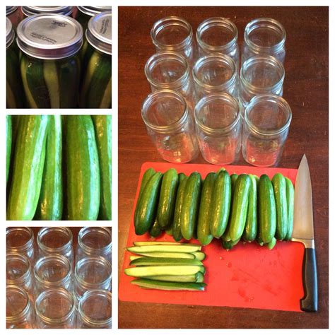 Use of salt substitutes is not recommended. Making pickles. Mrs. Wages dill pickle mix and cucumbers ...