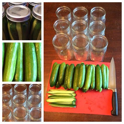 Use of salt substitutes is not recommended. Making pickles. Mrs. Wages dill pickle mix and cucumbers ...