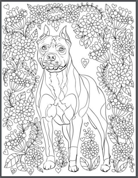 Households own a pet, which equates to 72.9 million homes ! De-stress With Dogs: Downloadable 10 Page Coloring Book ...