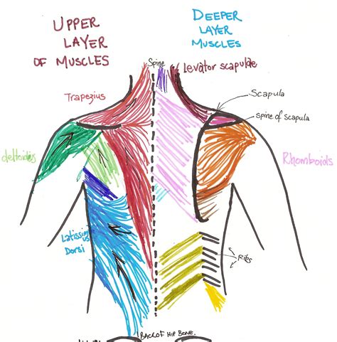 Neuromuscular massage therapy, or trigger point myotherapy, is an effective treatment for a soft tissue injury in the back. 301 Moved Permanently