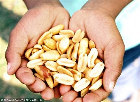 We can consume them daily. Peanuts 'slash risk of cancer, dementia, heart attacks and ...