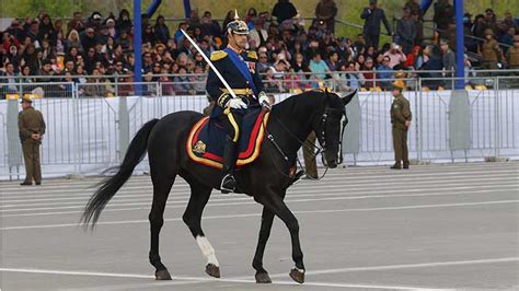 La ciudad de la furia. Contraloría propone retiro de Gral. Esteban Guarda por ...