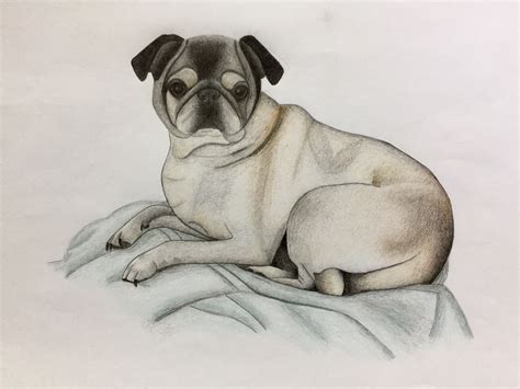 Colored pencil example blending mixing and matching colors flame. Colored Pencil Dog Drawing - create a masterpiece starring ...