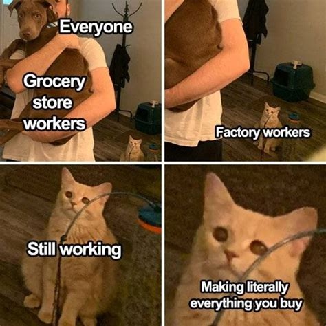 Check spelling or type a new query. Essential Workers Memes | Fun