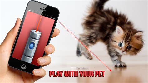 Today, many cats are under stimulated at home, which is why many cat owners look for games for their cats to play. Laser Pointer for Cat FREE: Amazon.ca: Appstore for Android