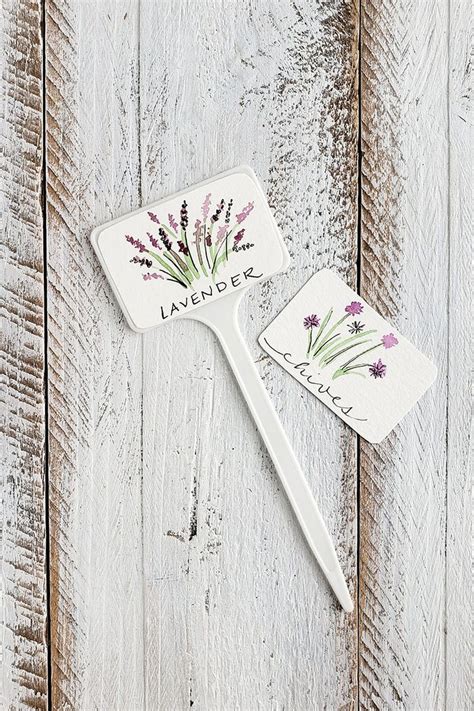 Cells form the basic building blocks for all living things. Easy Drawings for Plant Labels - Lavender and Chives -The ...