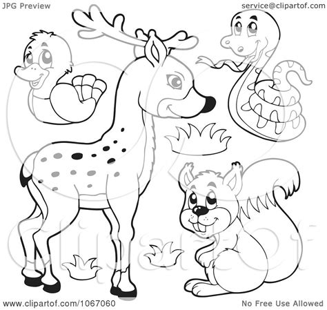 Maybe you would like to learn more about one of these? Clipart Outlined Forest Animals 1 - Royalty Free Vector Illustration by visekart #1067060