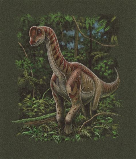 A page for the new europasaurus graphic novel. Europasaurus by EsthervanHulsen.deviantart.com on @DeviantArt | Prehistoric animals, Prehistoric ...