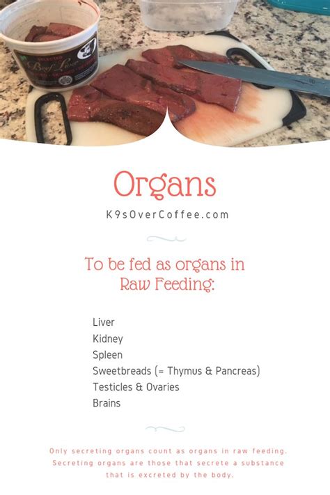 If your kibble is chicken or other poultry, the pufas are less stable and the food should be used within 2 weeks of opening. What does balanced raw dog food consist of ...