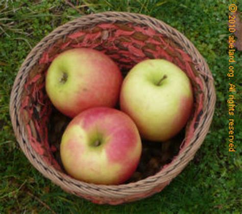 Each basket contains no more than 24 apples. how to teach your child number arithmetic mathematics - understanding sets and set logic | sums ...