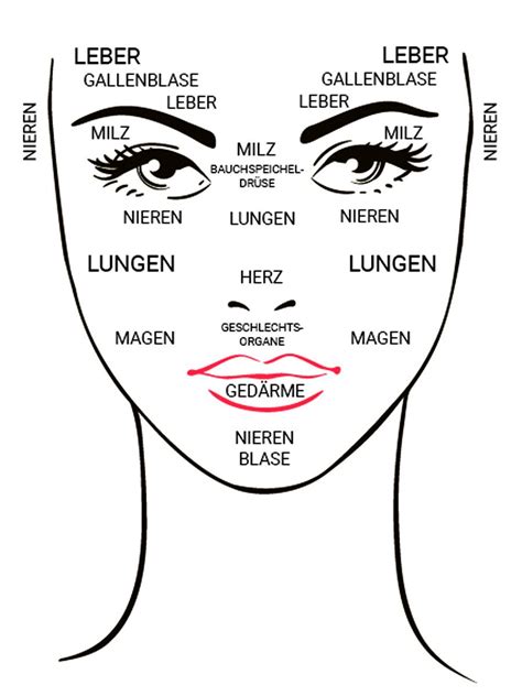 Schaubild mit den inneren organen des menschen: Was dein Gesicht über die Gesundheit deiner Organe verrät ...