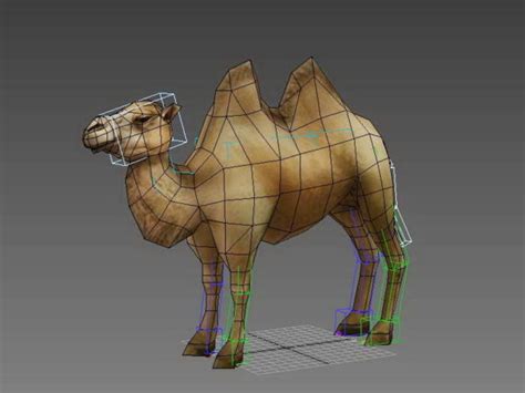 There are animations of watching, drinking water, and walking. Animated Bactrian Camel Rig Free 3d Model - .Max, .Vray ...