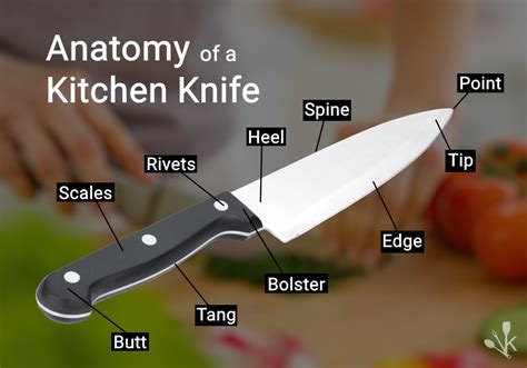 Gyuto knives are similar in use and shape to chef's knives. Best Kitchen Knives & Knife Reviews | KitchenSanity