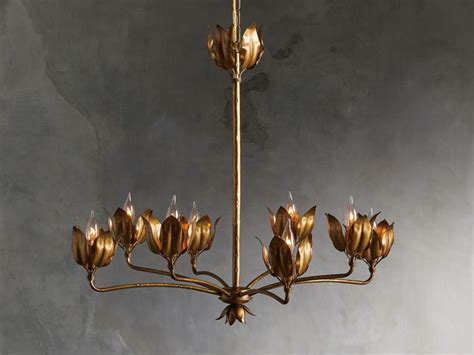 Shop the apollo chandelier at arhaus. Mariella Tulip Chandelier | Arhaus Furniture (With images ...