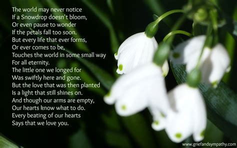 Pregnancy loss flowers for miscarriage. 10 Uplifting Miscarriage Poems and Songs