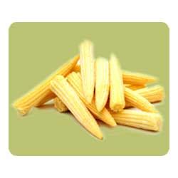 Baby corn is very low in calories. Fresh Baby Corn at Rs 60/kg | Baby Corn | ID: 5741501588