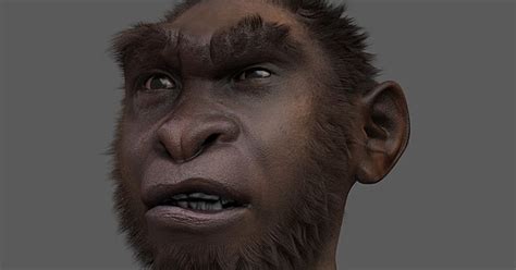 Biology form 1 all chapters. ATOR: Turkana boy - forensic facial reconstruction ...